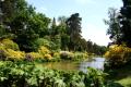Leonardslee Lakes & Gardens image 1