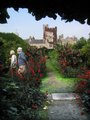 Levens Hall & world-famous topiary gardens image 2
