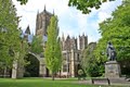 Lincoln Cathedral image 3