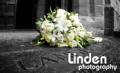 Linden Photography image 8