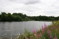 Lindow Common image 3