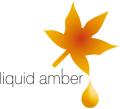 Liquid Amber Art Gallery logo