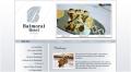 Liquid Ice Design - Web Design Company Belfast - Northern Ireland image 4