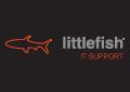 Littlefish IT Support Newcastle logo