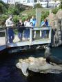 Living Coasts image 4