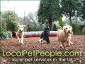 LocalPetPeople.com image 1