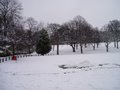 Locke Park image 10
