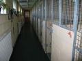 Lodge Farm Boarding Kennels image 2