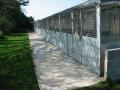 Lodge Farm Boarding Kennels image 3