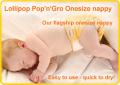 Lollipop - Real Nappy Advisor - Real Nappies Cloth Nappies image 5
