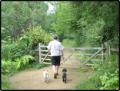 London Dog Walking Ltd image 4