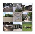 Longfield Equestrian Centre image 3