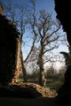 Longtown Castle image 4