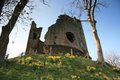 Longtown Castle image 6