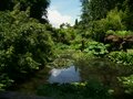 Lost Gardens of Heligan image 5