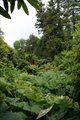 Lost Gardens of Heligan image 9