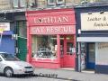 Lothian Cat Rescue image 1