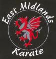 Loughborough Mixed Martial Arts Karate/Kickboxing/Taekwondo image 1