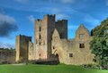 Ludlow Castle image 9