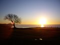 Lyme Regis Golf Club image 2