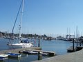 Lymington Harbour Commissioners image 4