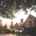 Macdonald Alveston Manor image 5