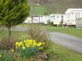 Maesbach Caravan and Camping Park image 8