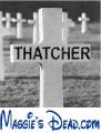 Maggie Thatcher Experience image 1