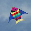 Magic Kites image 3