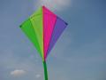 Magic Kites image 4
