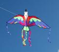 Magic Kites image 1
