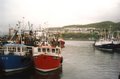 Mallaig image 5