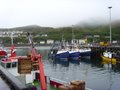 Mallaig image 6