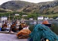 Mallaig image 9