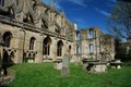 Malmesbury Abbey image 3