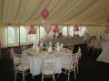 Manor Balloons image 7
