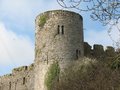 Manorbier Castle image 7