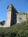 Manorbier Castle image 8