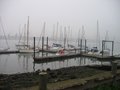 Marchwood Yacht Club image 1