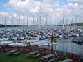 Marina Developments Ltd image 1