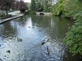 Markeaton Park image 6