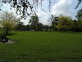Markeaton Park image 8