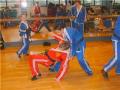 Martial Arts Qi Kwan Do ltd image 6