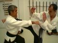 Martial Arts and Sword Training - Pa Kua School image 3