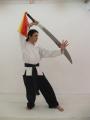 Martial Arts and Sword Training - Pa Kua School logo