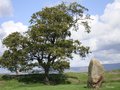 Mayburgh Henge image 2