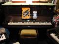 Medway Piano Service - piano tuning, repairs and sales for Medway and Rochester. image 3