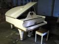 Medway Piano Service - piano tuning, repairs and sales for Medway and Rochester. image 6