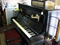 Medway Piano Service - piano tuning, repairs and sales for Medway and Rochester. image 7