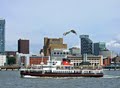 Mersey Ferries logo